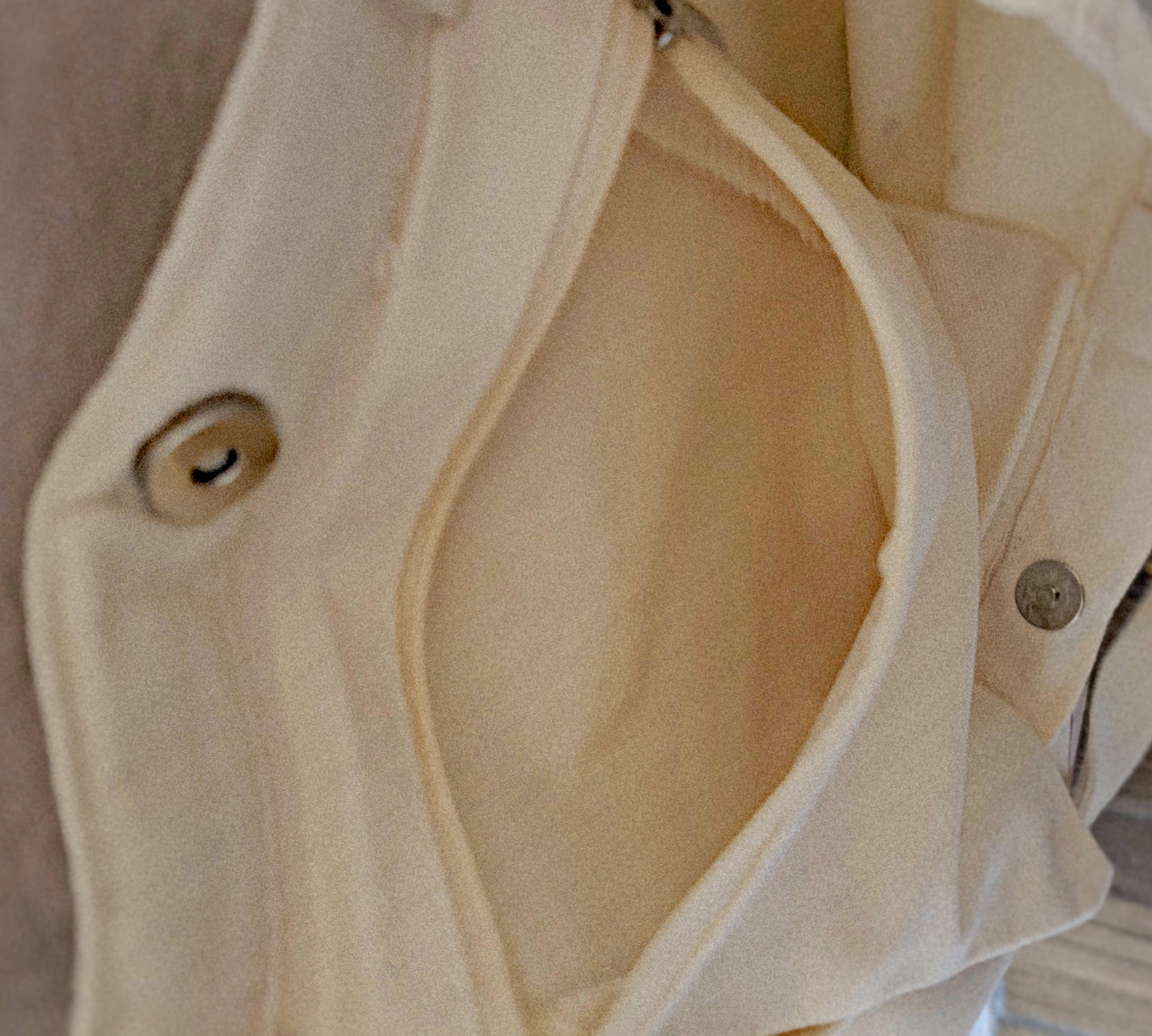 Come Let Us Adore Him Holiday Tote Bag